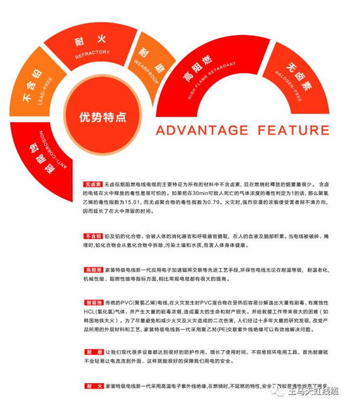 天虹線纜 助力傳統村落煥新顏，守護黔溪村電氣安全